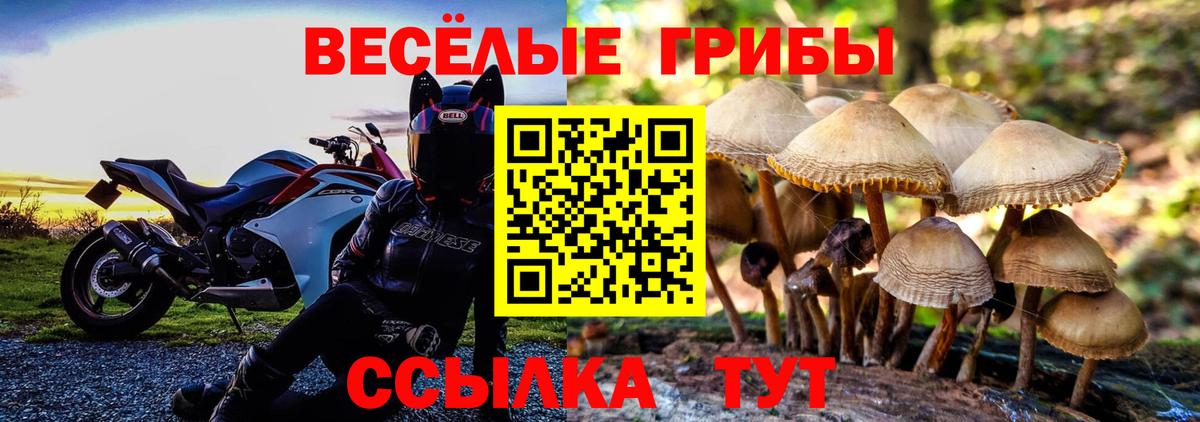 Псилоцибиновые грибы MAGIC MUSHROOMS Тельмана