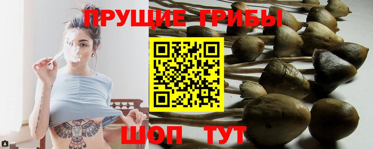 Псилоцибиновые грибы мухоморы  закладка  Тельмана  Вход с VPN 